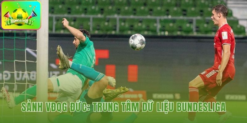 Hình minh họa bóng đá Đức 1